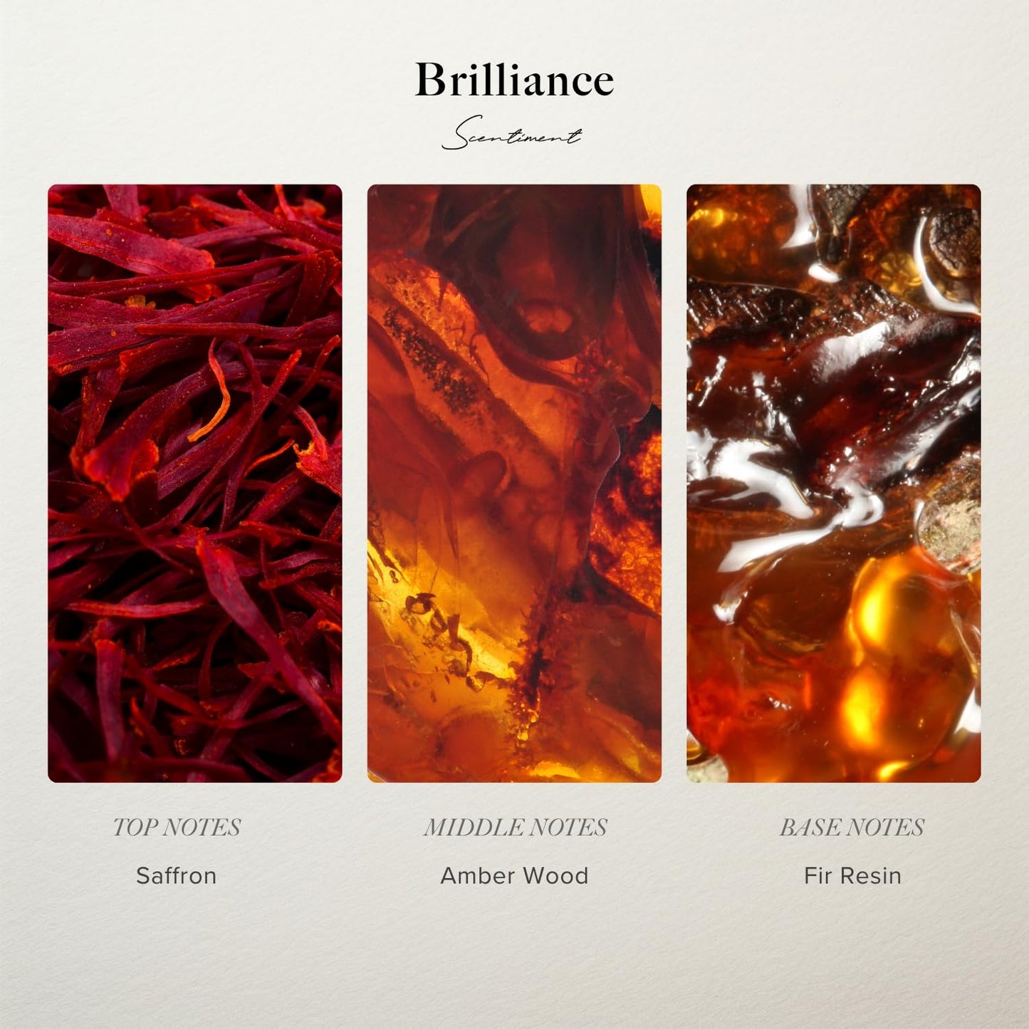Scentiment Luxury Hotel Scents – 5 Fragrance Oil Set | Secret Desires, Day Dream, The One, Ocean Breeze & Amalfi Coast | Fresh, Floral, Woody & Citrus Scents | Home Diffuser Oils (5 x 20 mL)