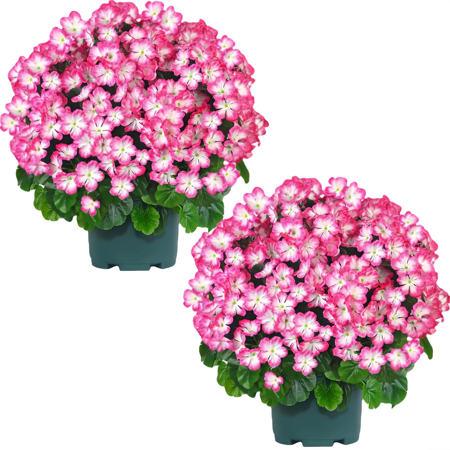 QIANYUN Artificial Geranium Bush – 20 Inch Outdoor Potted Artificial Plant for Front Porch, UV Resistant Faux Flower Bush for Garden, Yard & Patio Decor (2 Pack)