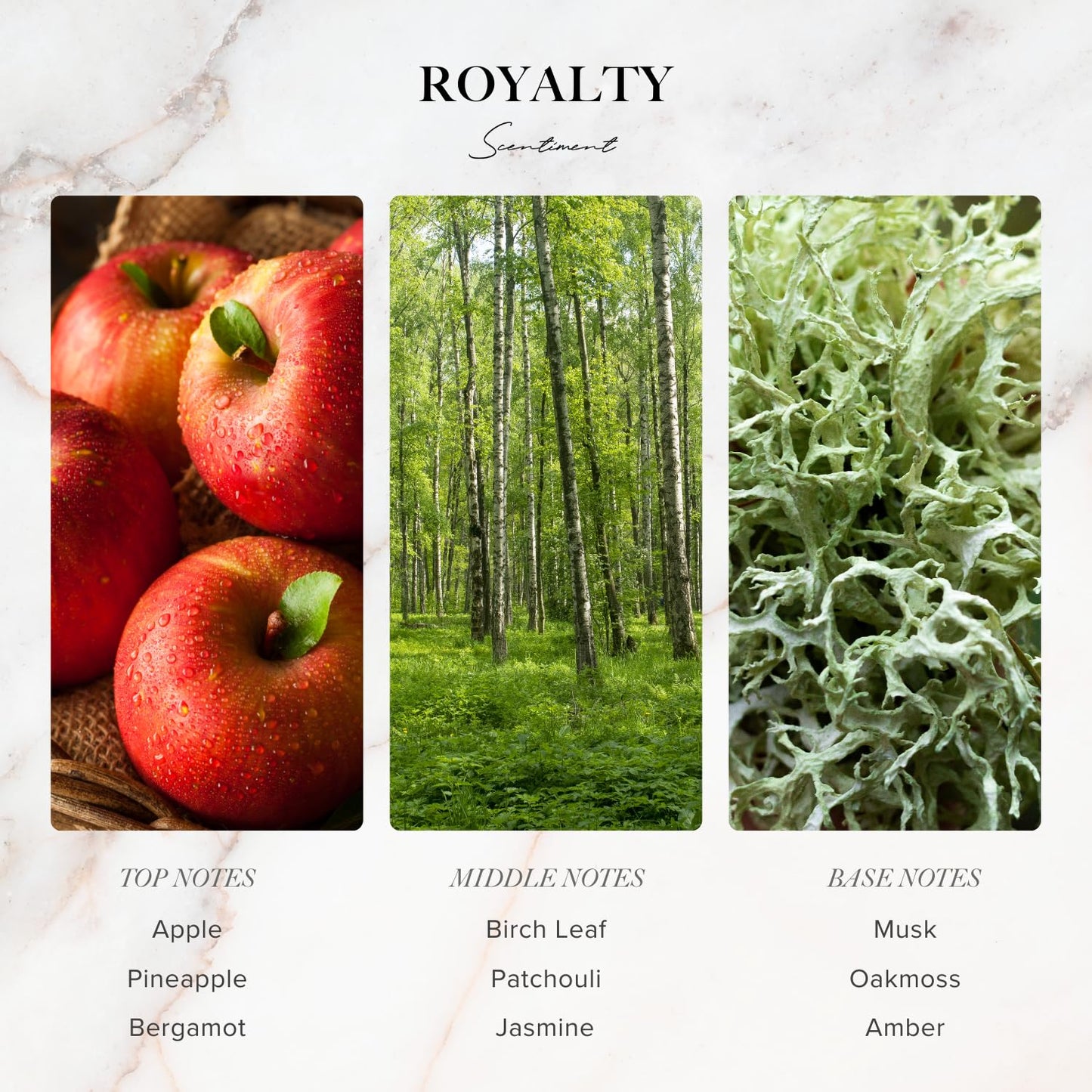 Scentiment Luxury Hotel Scents – 5 Fragrance Oil Set | Secret Desires, Day Dream, The One, Ocean Breeze & Amalfi Coast | Fresh, Floral, Woody & Citrus Scents | Home Diffuser Oils (5 x 20 mL)